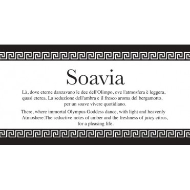 SOAVIA Mouillettes